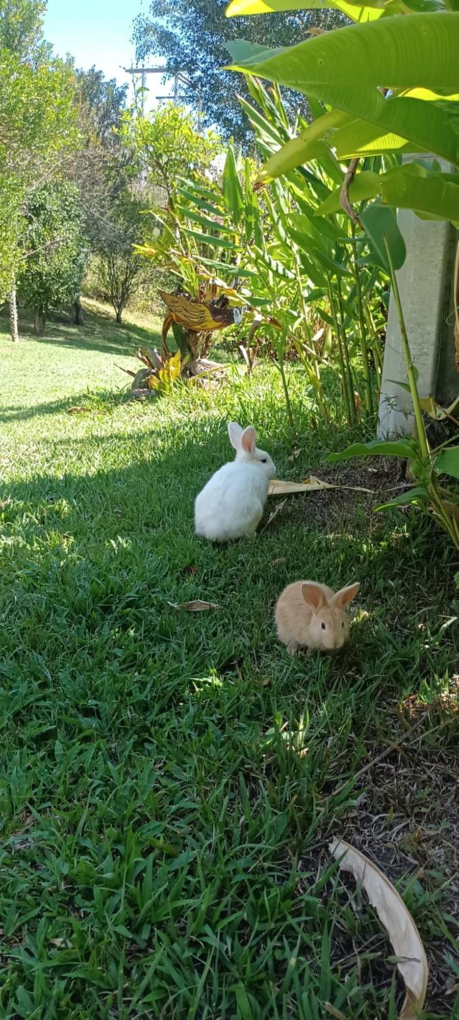 Skale Peregrino Guest House Choachi Luaran gambar